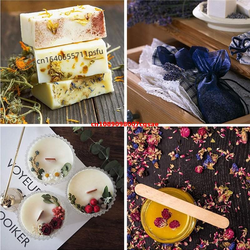 Fiori Secchi di Gomphrena Natu - Candle Making And Perfume recensione e prezzo