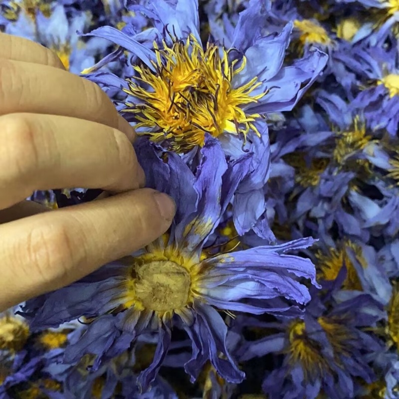Fiori secchi aromatici natural - Candle Making And Perfume recensione e prezzo